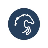 Sabine Bühlmann (@feeltiming) 's Twitter Profile