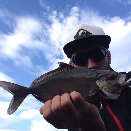 PadillaFishing's profile picture. Pesca con señuelos, mas especificamente el light rockfishing