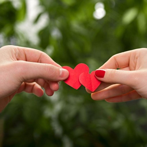 Algo_confundida's profile picture. 