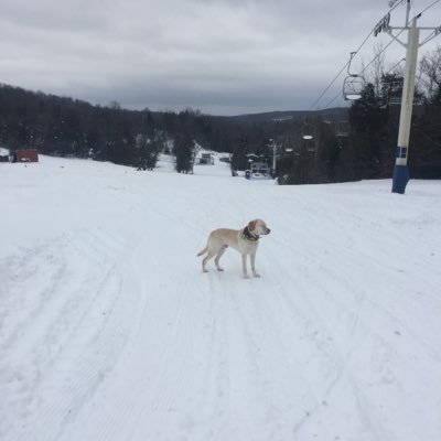 KathyMG1's profile picture. 