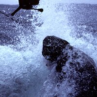 Hauling Gear 🇺🇸 Made in Alaska (@haulinggear) 's Twitter Profile Photo Hauling Gear 🇺🇸 Made in Alaska (@haulinggear) 's Twitter Profile Photo
