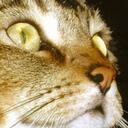 Gary Riedel - @sukumvit - Twitter