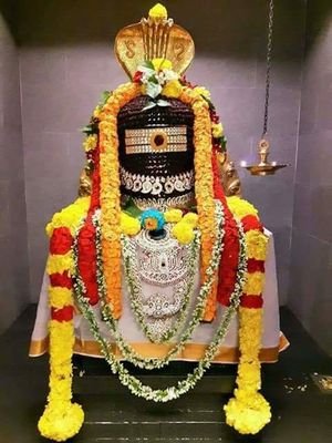 ajaybalu4491's profile picture. 