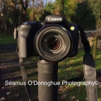Séamus O’Donoghue (@seamusphotog) 's Twitter Profile Photo Séamus O’Donoghue (@seamusphotog) 's Twitter Profile Photo