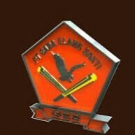 Unduh 540 Gambar Elang Sakti Terbaik Gratis