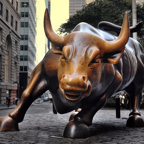 MRapiZ's profile picture. 