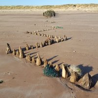 Nicky Hunter (@nickyhunter1) 's Twitter Profile