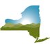 New York Health Foundation (@NYHFoundation) Twitter profile photo