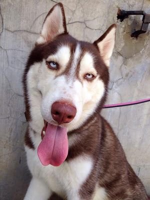 pqpbenedito's profile picture. 