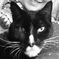 Humphrey the Cat (@humphreythe_cat) 's Twitter Profile Photo