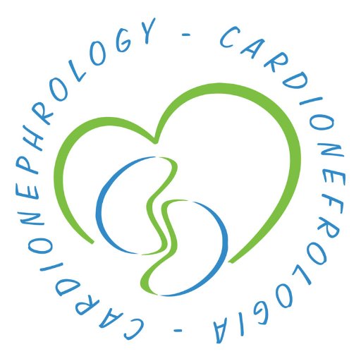 Account ufficiale del Congresso di Cardionefrologia 2021 || Roma 23-24 novembre || hashtag: #CardioNefro2021 - staff: @FENICIAEVENTS