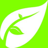 LeafBabies 🌱 (@leafbabies) 's Twitter Profile