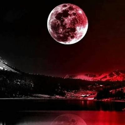 aabbdduullaa502's profile picture. 