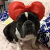 🌸Maggie Sensei🐶🐾 (@maggiesensei) Twitter profile photo 🌸Maggie Sensei🐶🐾 (@maggiesensei) Twitter profile photo