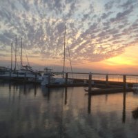 Joe (@florida) 's Twitter Profile