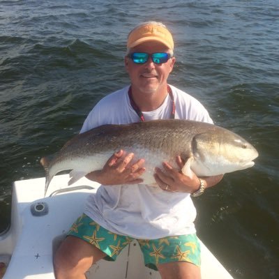 donniecollier65's profile picture. 