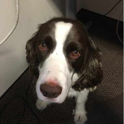 jannut62's profile picture. 