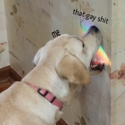 ImNotGayISwe6r's profile picture.