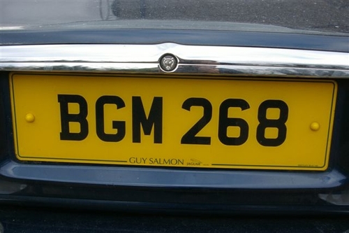 BGM268's profile picture. 