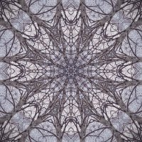 Joe (@joemielke) 's Twitter Profile Photo