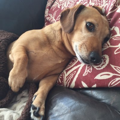 CarolineStaging's profile picture. Caroline's Home Staging Services