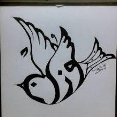 zzqq_1212's profile picture. عجباً لقلب بحجم الكف ...يحتوي أشخاصاً بحجم الكون ..