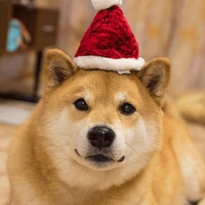 No, im not a bot i just test my luck alot by participating in giveaway, ok your right in ALOT of giveaways.