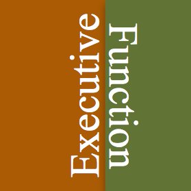ExecuFunction's profile picture. Executive Function es una empresa con 2 áreas de trabajo diferenciadas :   1.- La realización de Estudios de Economía de la Salud  2.- Organización de Eventos
