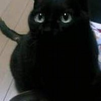 かふか (@rocksou) 's Twitter Profile