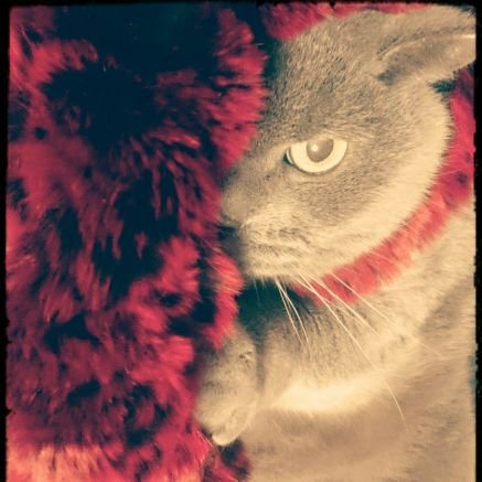 unico0606's profile picture. 艦これ初心者です。優しくしてください。
よかったら相互になろうね！ゲームやってたり日常呟いてたり。時々ハンドメイドとかしてる。