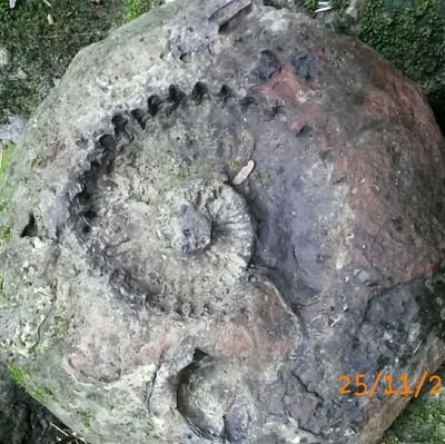 juandias2004's profile picture. 