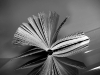 Библиотека | Знания о том, как стать счастливыми и успешными. Автор твиленты: @StanDyachenko
