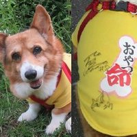 つっつ (@tsuttsu_22) 's Twitter Profile