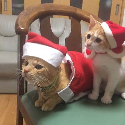 etrMsLevcZMIBiG's profile picture. さゆり