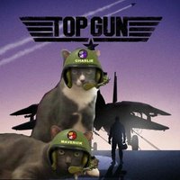 Colonel Maverick & Angel🌈 Colonel Charlie (@topgunkitties) 's Twitter Profile Photo Colonel Maverick & Angel🌈 Colonel Charlie (@topgunkitties) 's Twitter Profile Photo