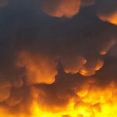 glig1's profile picture. Ecolo par nature