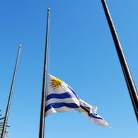 JCMigues's profile picture. Periodista, pero de los que informan, no de los que opinan. Por carecer de espacios en donde volcar LA VERDAD de lo que pasa en mi país, me veo obligado a usar.