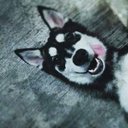 Angel Erick Vasquez - @AngelErick08 - Twitter