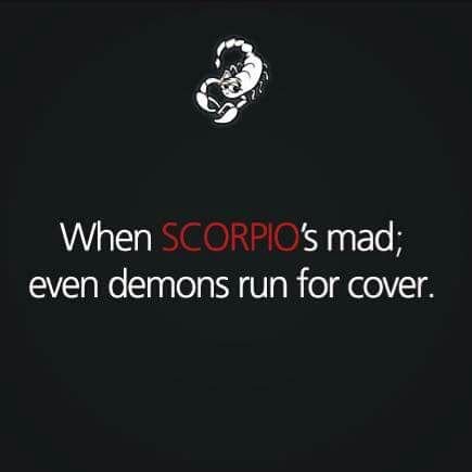 collinschima6's profile picture. Sophisticated