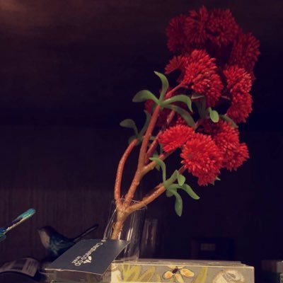 i_mfmm's profile picture. 