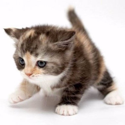 aly869's profile picture. 