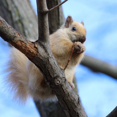 alexbencz's profile picture. 