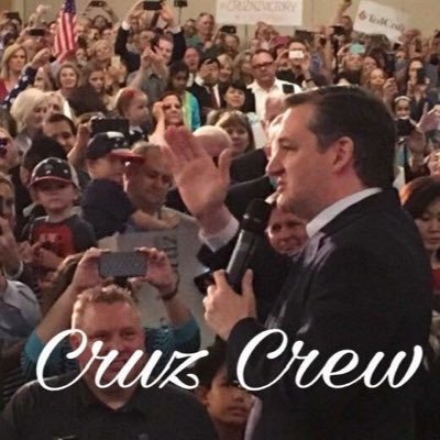 Christian, Reagan-Conservative, Pride in American Exceptionalism,Ted Cruz for 2018 !!!