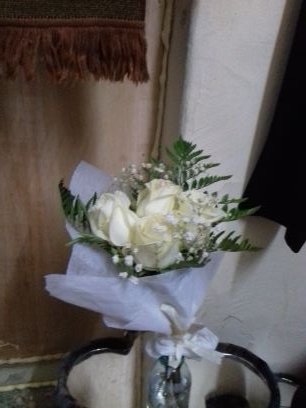 jawa tulen
 indonesia