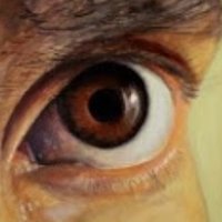 Mechachleopteryx (@galactromeda) 's Twitter Profile
