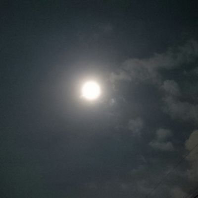er_ergo's profile picture. 