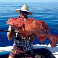 Andrew Symonds (@roysymonds63) 's Twitter Profile