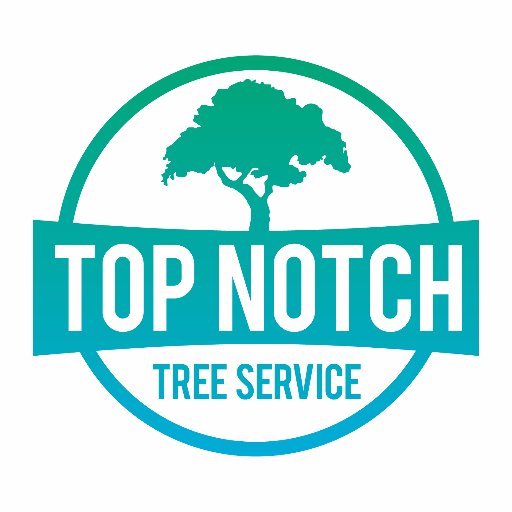 topnotchtreenc's profile picture. When you need tree services at your home or business in Lake Norman, North Carolina, the only place you need to call is Top Notch Tree Service!