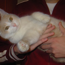 Bill Hooper - @hoop888 - Twitter