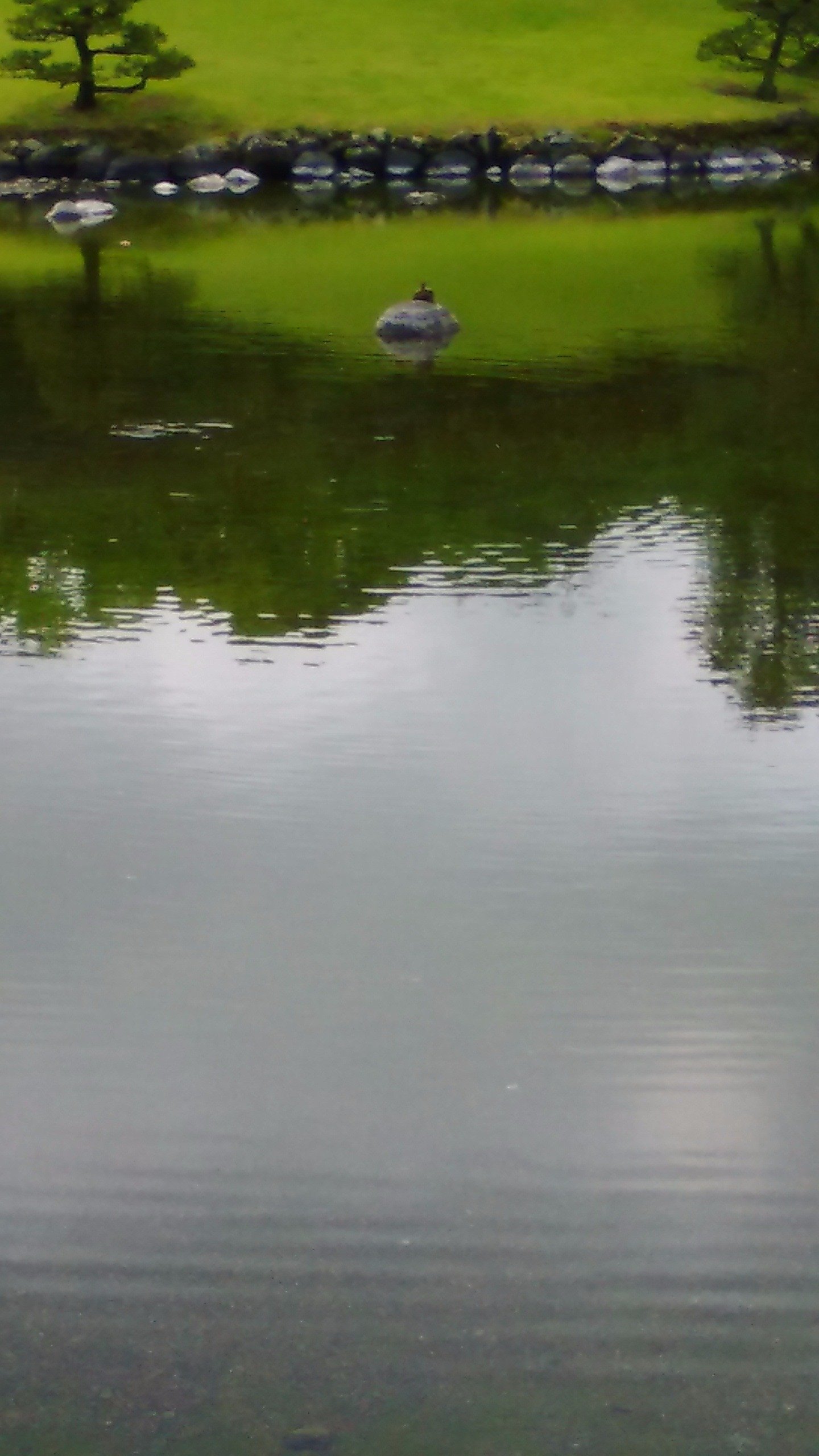 44edbf04157a49c's profile picture. 